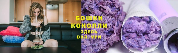 СК Богородицк