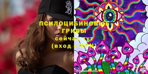 соль курить ск Богданович