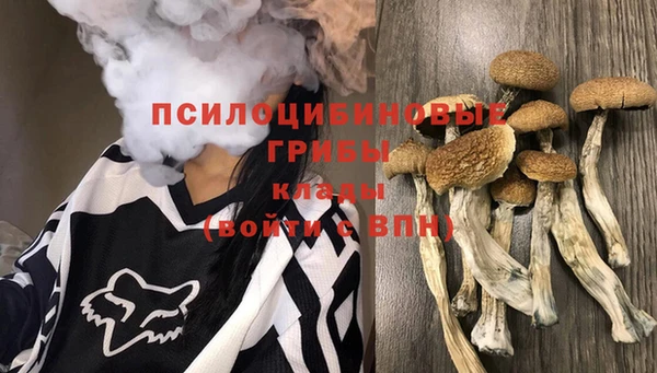 СК Богородицк