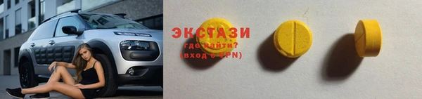 СК Богородицк