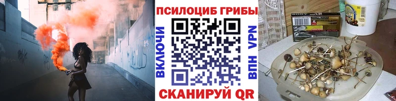 купить закладку  Ачхой-Мартан  Псилоцибиновые грибы MAGIC MUSHROOMS 